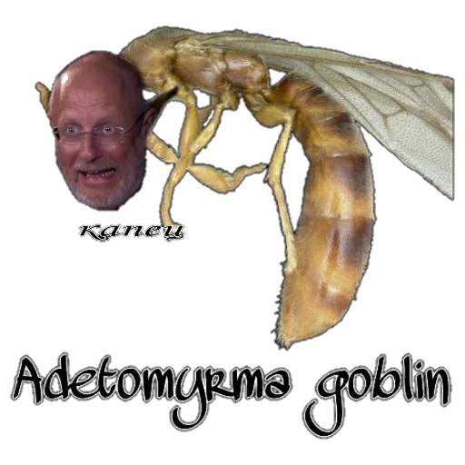 Стикер Murovyii - 1