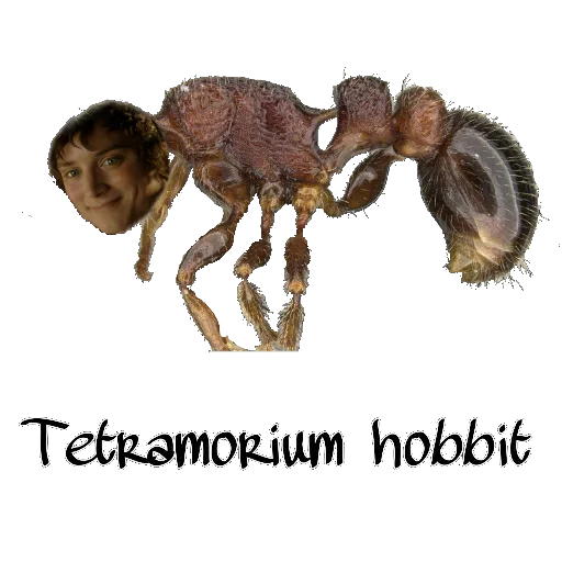 Стикер Murovyii - 1