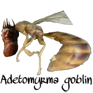 Sticker МУРОВ'Ї by @David73694B - 10