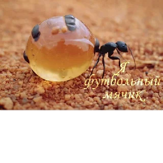 Sticker МУРОВ'Ї by @David73694B - 2