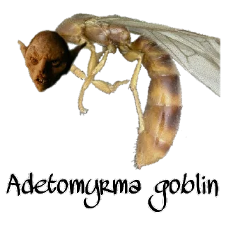 Sticker МУРОВ'Ї by @David73694B - 4