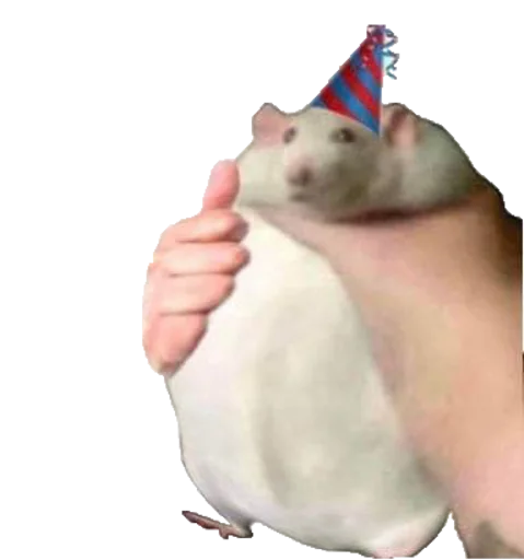 Мышь🐭 - @I_Love_akame - 