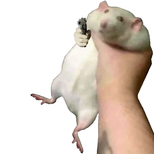 Sticker Мышь🐭 - @I_Love_akame - 1