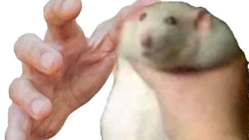 Sticker Мышь🐭 - @I_Love_akame - 0