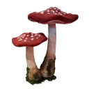 Sticker Грибной pack - 9