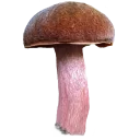 Sticker Грибной pack - 8