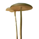 Sticker Грибной pack - 7