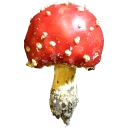 Sticker Грибной pack - 4