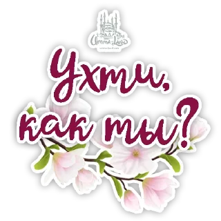 Sticker Islam Muslim Umma-Land - 7