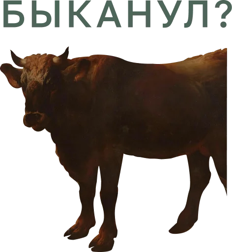 Sticker Muzey_Izo - 1