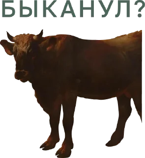 Sticker @muzey_izo - 3