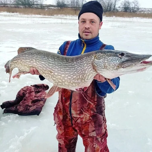 Sticker Muzhichkinarybalke - 1