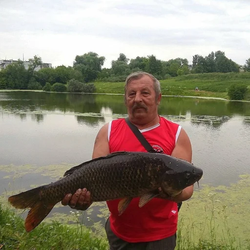 Sticker Muzhichkinarybalke - 1