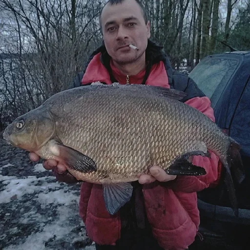 Sticker Muzhichkinarybalke - 1