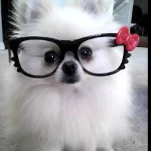 Sticker MvDPbIE_by_achestickbot - 1