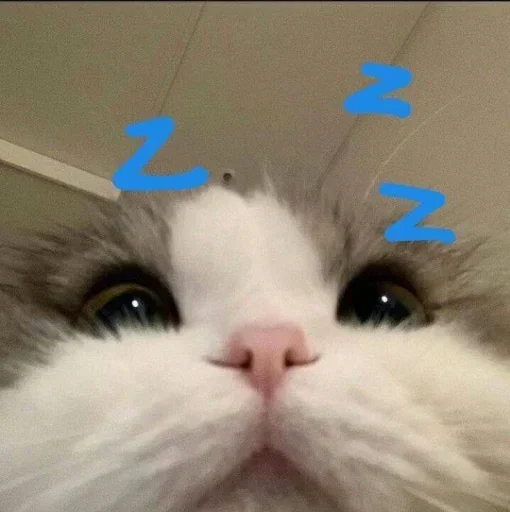 Sticker MvDPbIE_by_achestickbot - 1