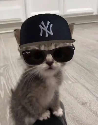 Sticker MvDPbIE_by_achestickbot - 1