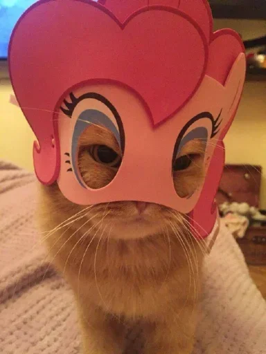 Sticker MvDPbIE_by_achestickbot - 1