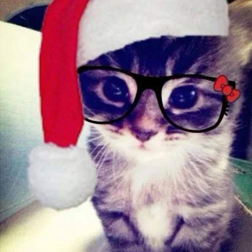 Стикер MvDPbIE_by_achestickbot - 1