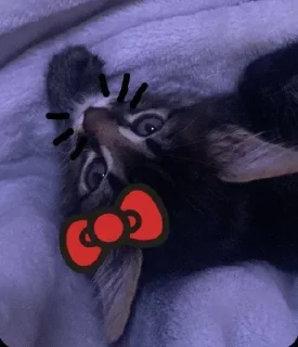 Стикер Больше стиков тут: @stikery4 - 4