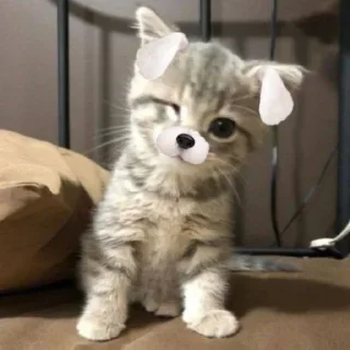 Стикер Больше стиков тут: @stikery4 - 7