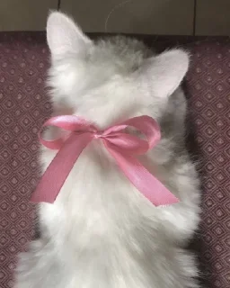 Стикер Больше стиков тут: @stikery4 - 1