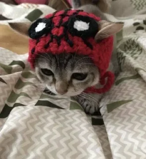 Стикер Больше стиков тут: @stikery4 - 9