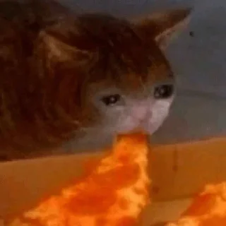 Стикер Больше стикеров: @sticerru - 6