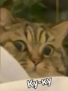 Sticker ⓂΩй ^Eк¢ik0н - 6