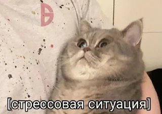 Sticker ⓂΩй ^Eк¢ik0н - 3