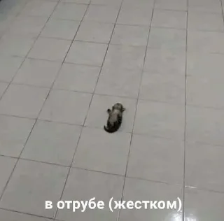 Sticker ⓂΩй ^Eк¢ik0н - 9