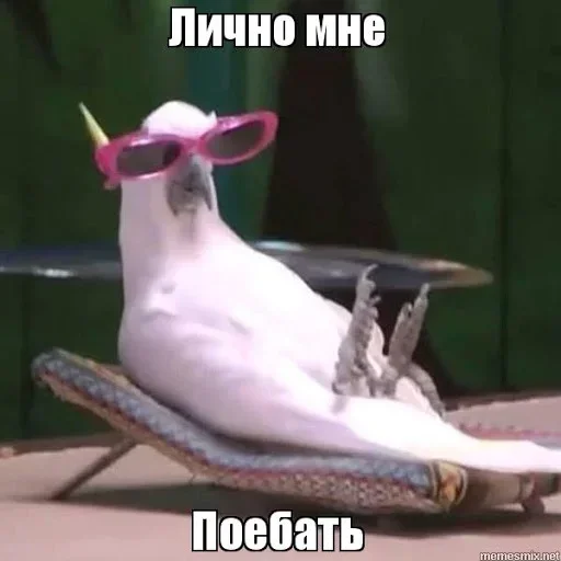 Стикер MyFavouritePack_2 - 1