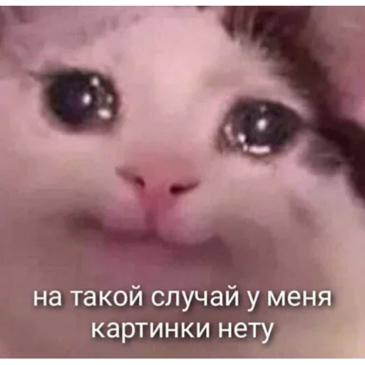 Стикер MyFavouritePack_2 - 1