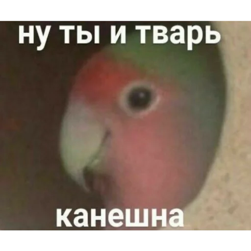 Стикер иди нахуй,не придумал - 8