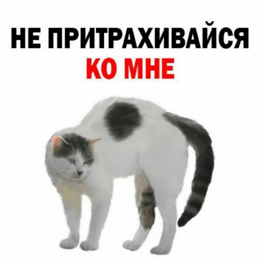 Стикер иди нахуй,не придумал - 7