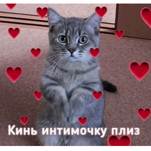 Стикер иди нахуй,не придумал - 2