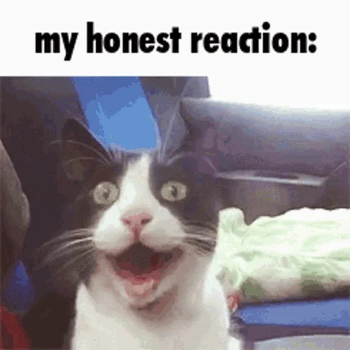 Стикер My honest reaction (by @ForsLor) - 5