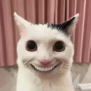 Sticker MyHonestReaction - 7