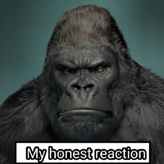 Sticker MyHonestReaction - 2