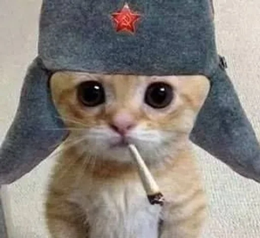 Sticker MYNshlyxa :: @fStikBot - 7