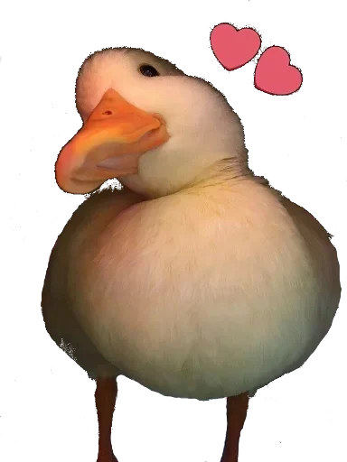 Sticker MyPackForAllWays - 1