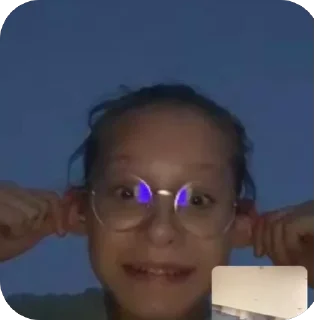 Sticker курицы 🪺 - 10