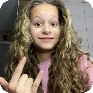 Sticker курицы 🪺 - 2