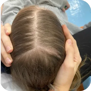 Sticker курицы 🪺 - 11