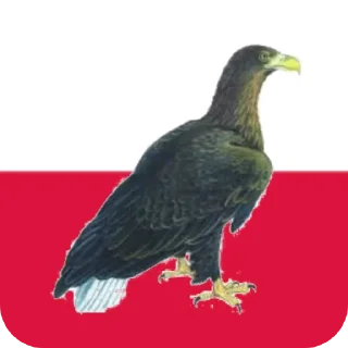 Sticker My 1! 1!!! 1!! 1! 1! 1!!! 1! - 2