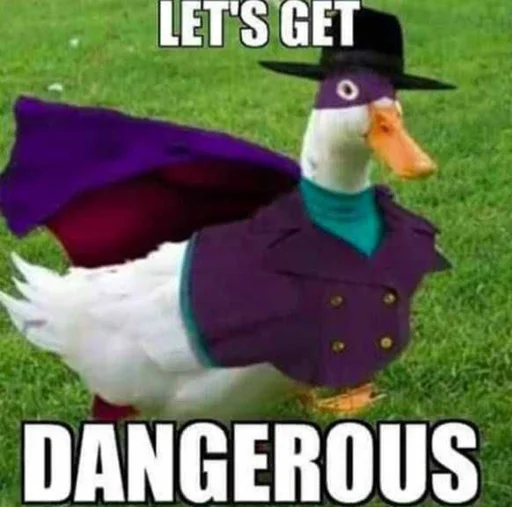 Sticker Crazy ducks - 6