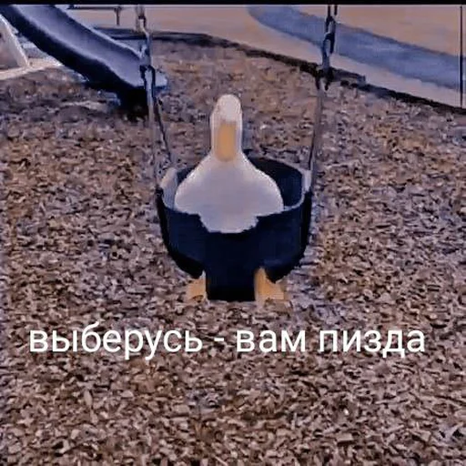 Sticker Crazy ducks - 5