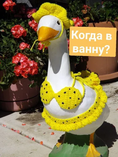 Sticker Crazy ducks - 2