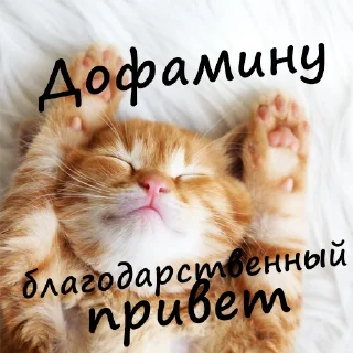 Sticker My_psychologist - 6