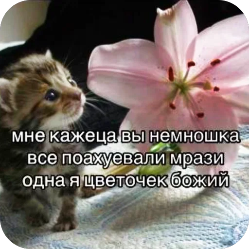 Стикер Mya_mya_u8 - 1